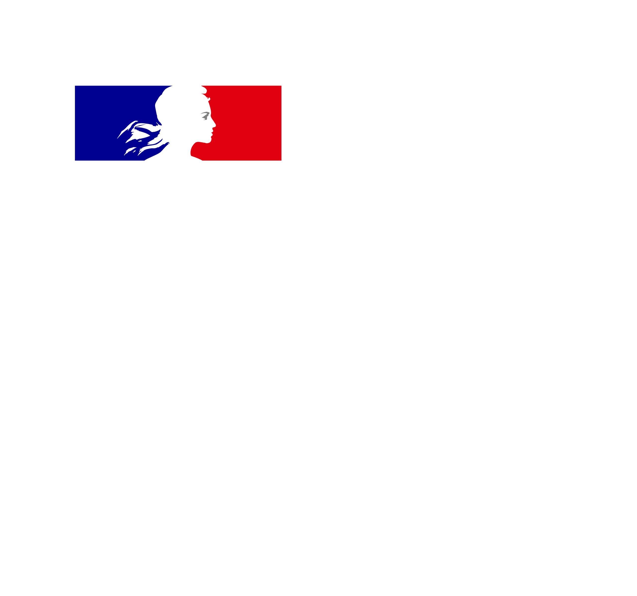 Logo France