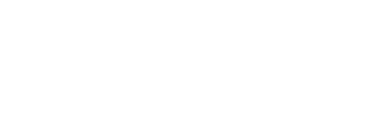 Logo IReSP